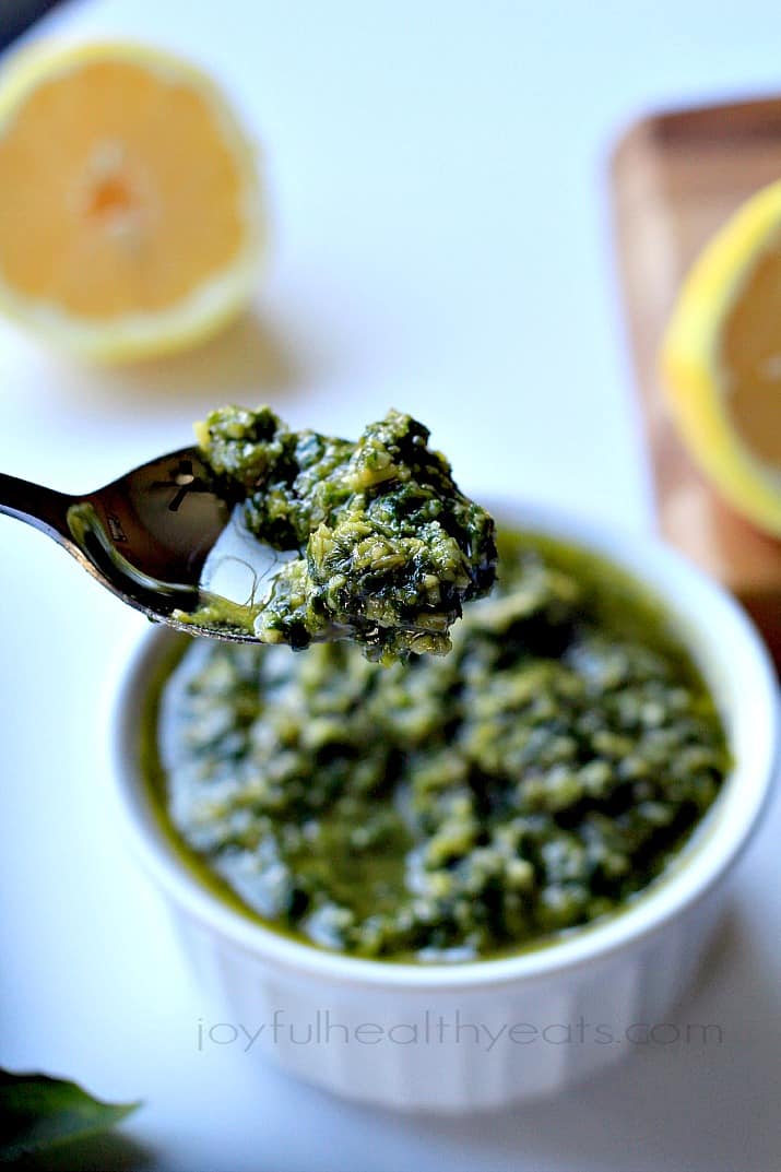 Light, Fresh, and Herby Homemade Basil Pesto. {made in 5 minutes} | purewellnessjourneyclub.com #sauce 