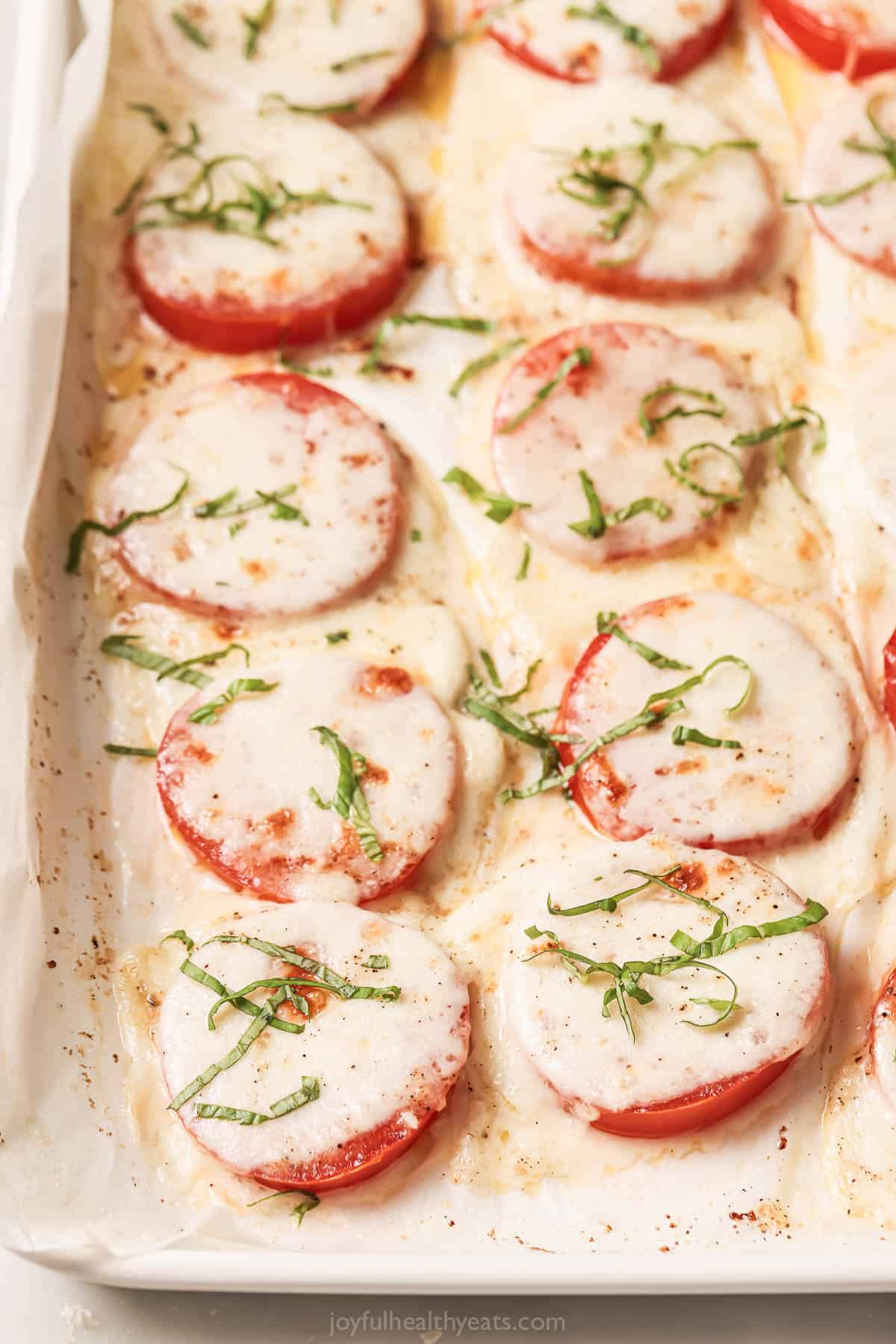 Freshly baked tomatoes with mozzarella, parmesan, olive oil, and basil. 
