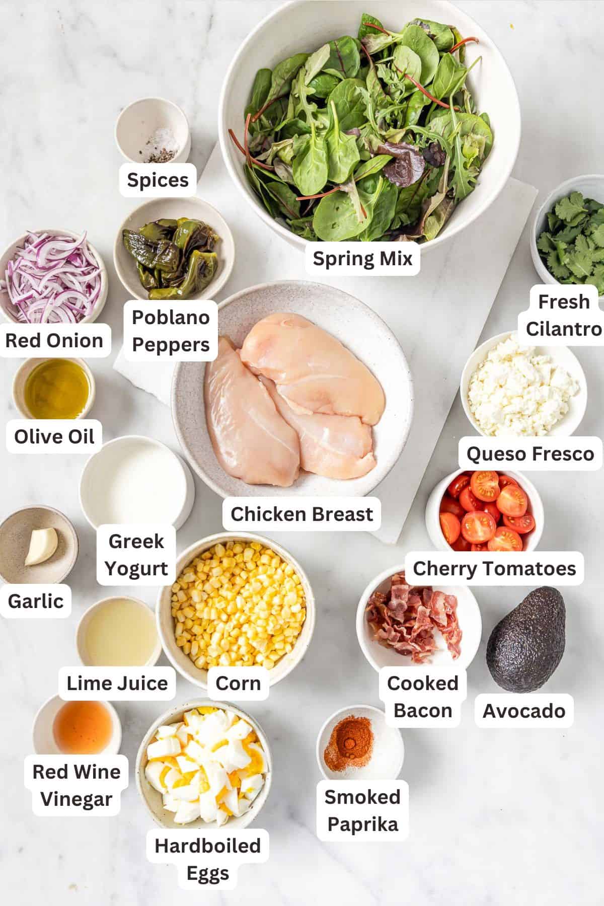 Overhead view of ingredients for chicken Cobb salad