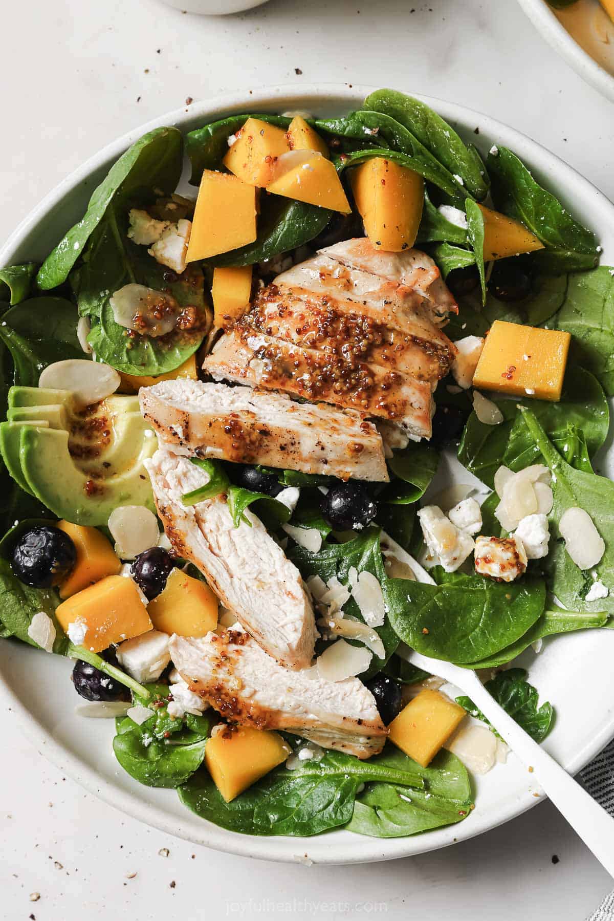 This refreshing avocado salad recipe with grilled chicken, mango, and blueberries is the perfect 30-minute lunch with homemade dressing. Bowl of avocado salad with mango, blueberries, grilled chicken, and goat cheese.