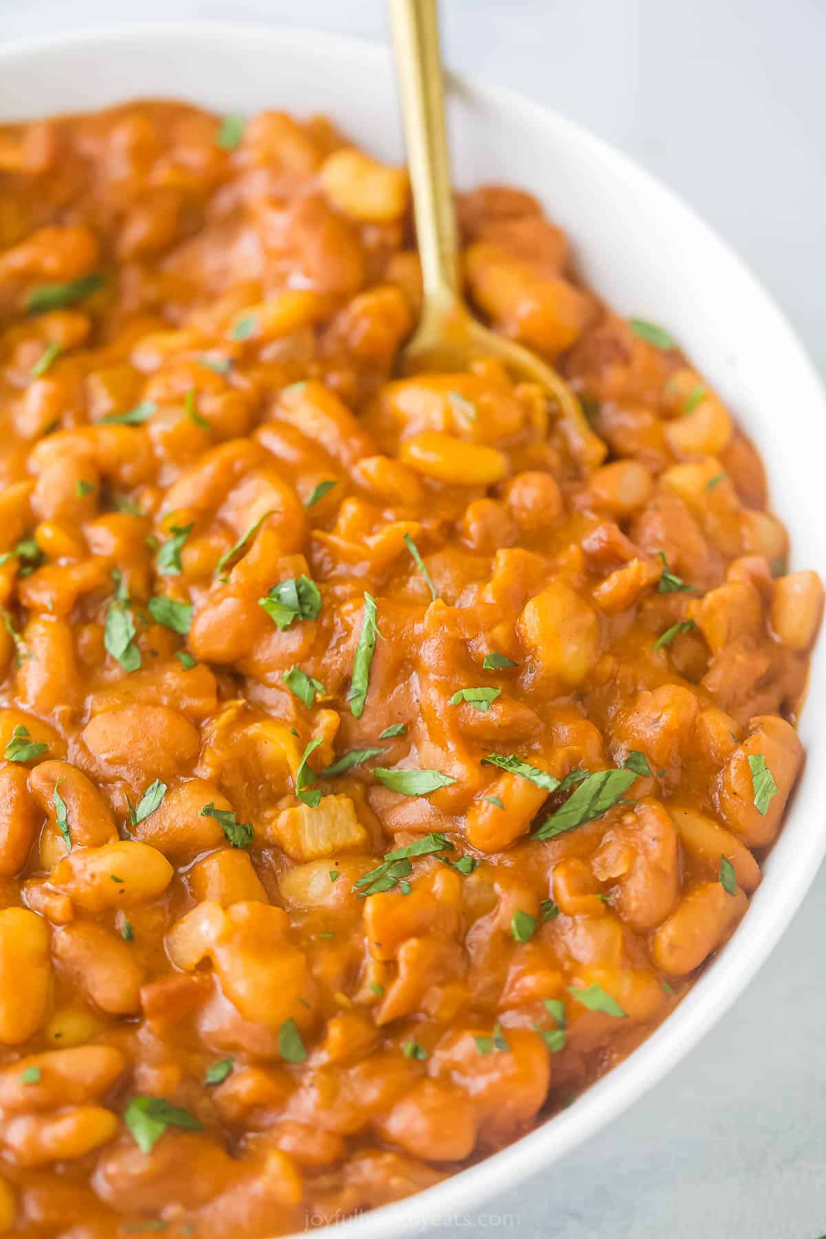 Enriched with sweet and smoky ingredients like BBQ sauce and sautéed bacon, these creamy and comforting Homemade Baked Beans are unrivaled. A large bowl of bacon baked beans with a golden spoon inside
