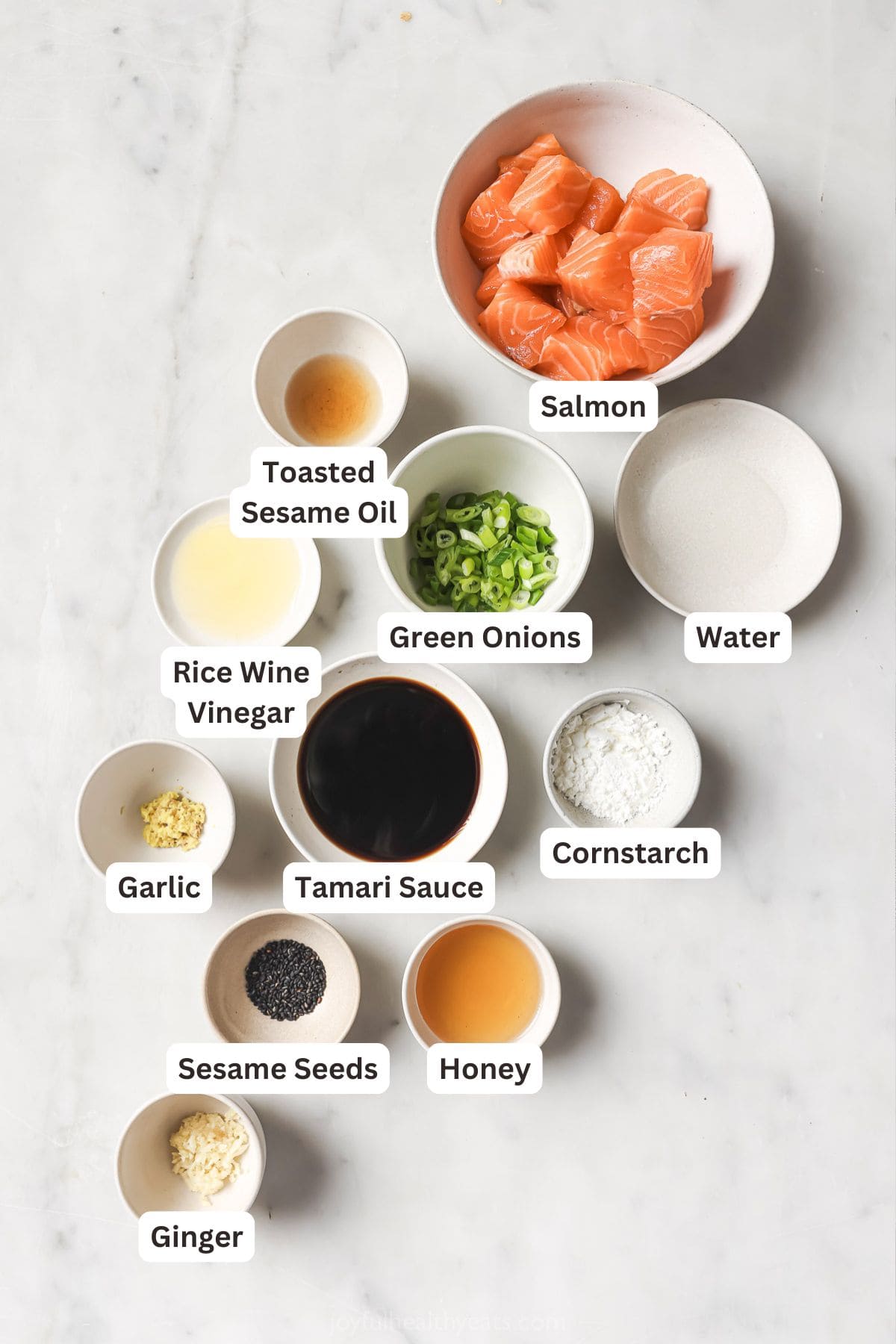 Overhead view of ingredients for crispy salmon bites