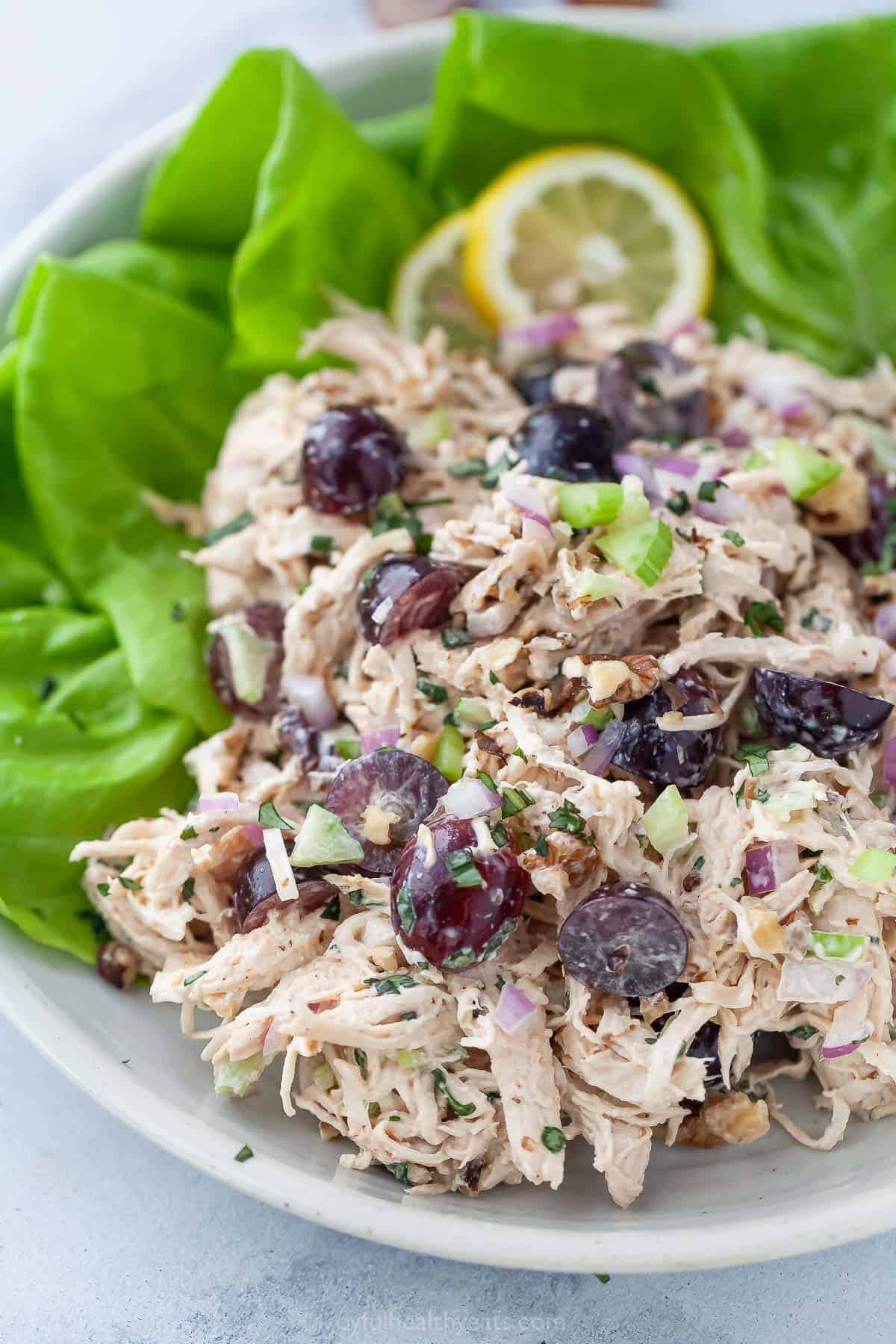 Plate of Waldorf chicken salad with lettuce