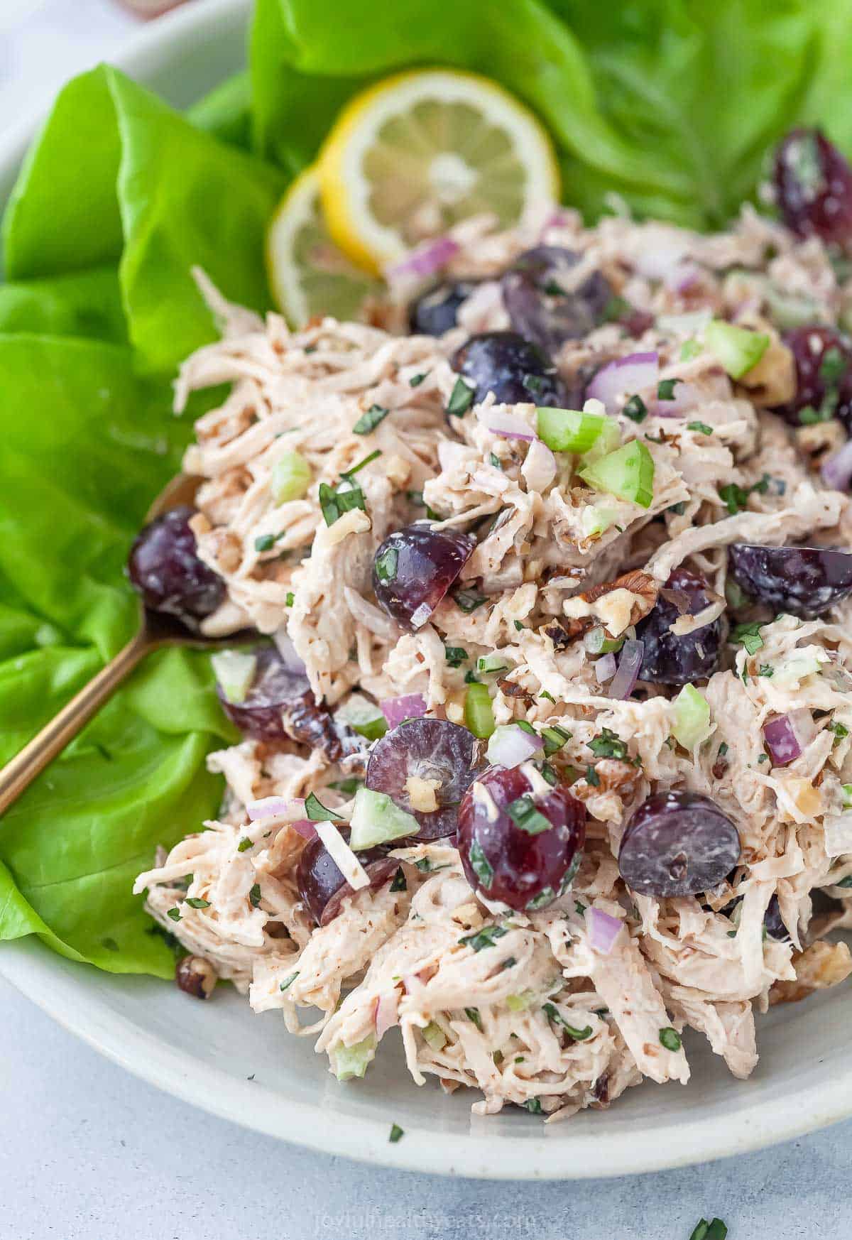 Closeup of Waldorf chicken salad on plate