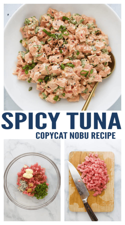 pinterest image for Spicy Tuna